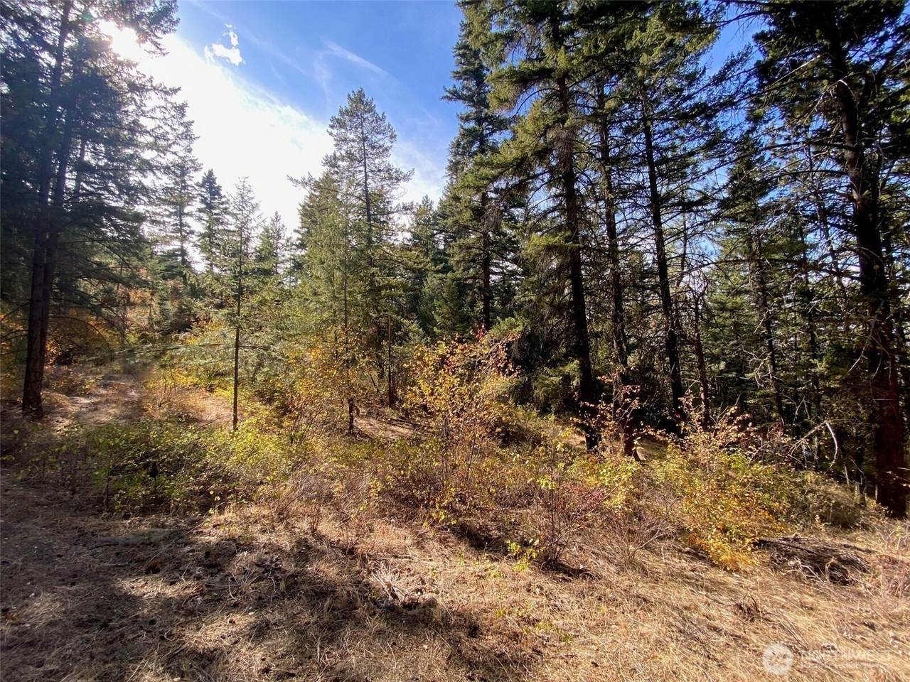 8888 Deer Creek Drive - Photo 1