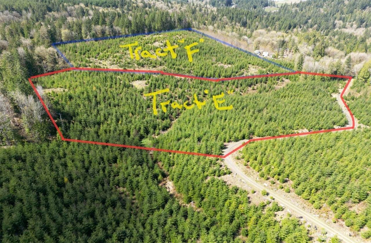 9201 Tract E Old Olympic Highway - Photo 1