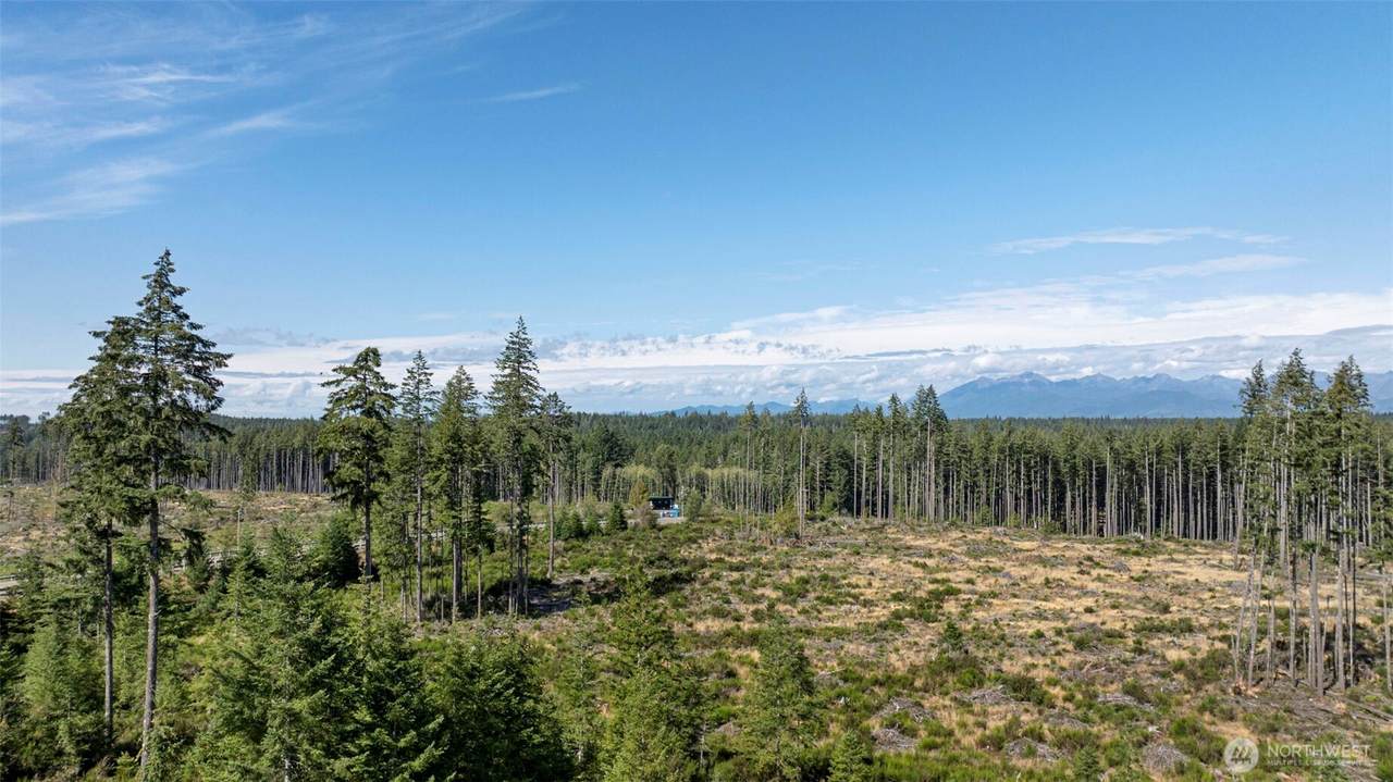 111 Ridgetop Court - Photo 1