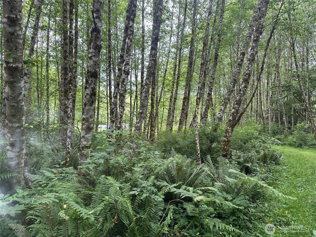 295 Oak Point Road - Photo 1