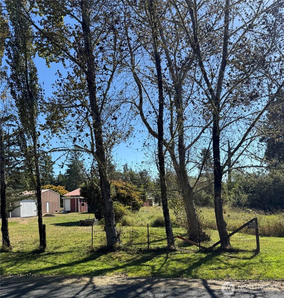 0 245th Lane - Photo 1