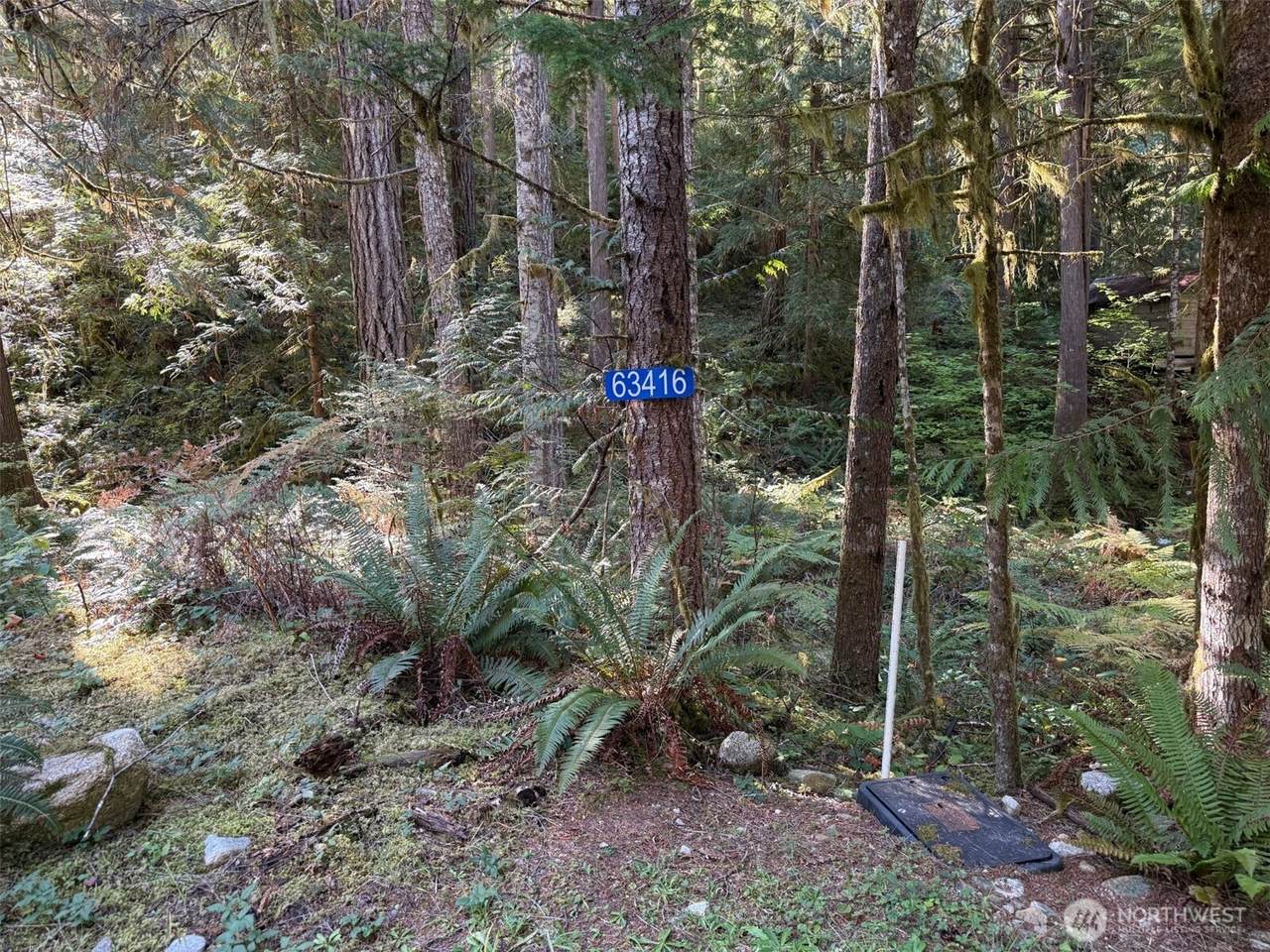 63416 Ross Place - Photo 1