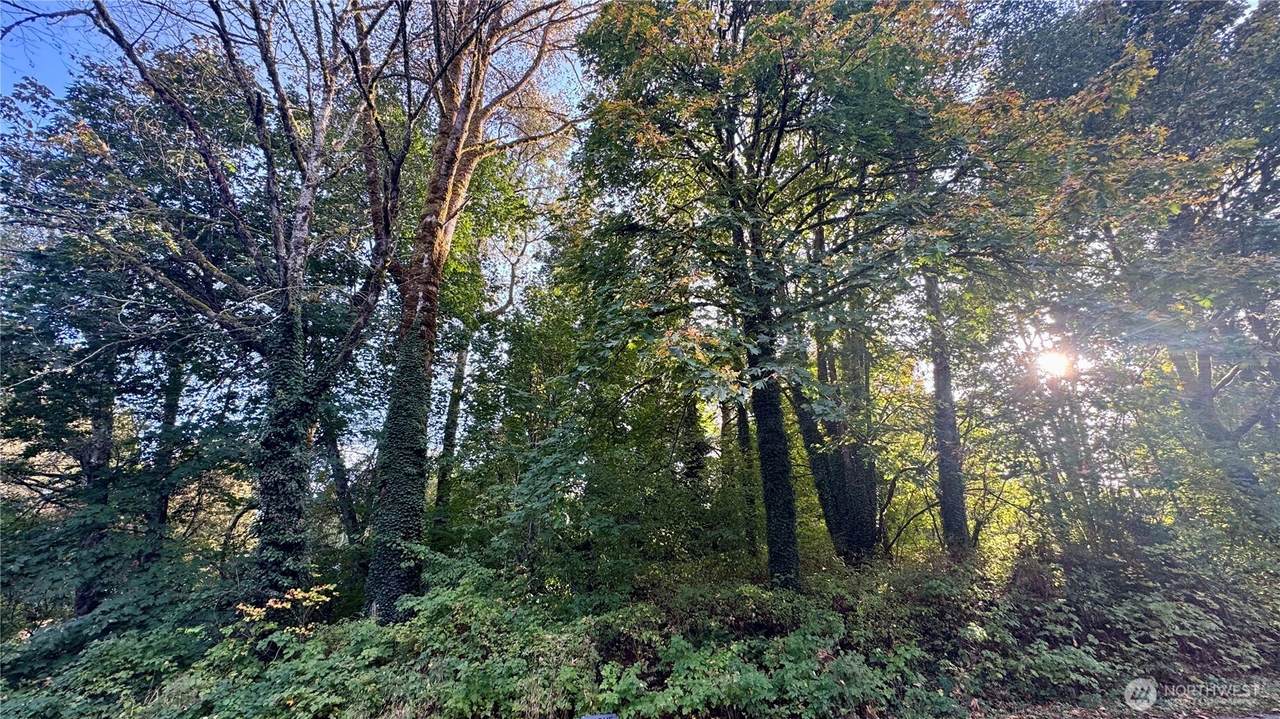 0 Lt 14&15 Cape Horn Drive - Photo 1