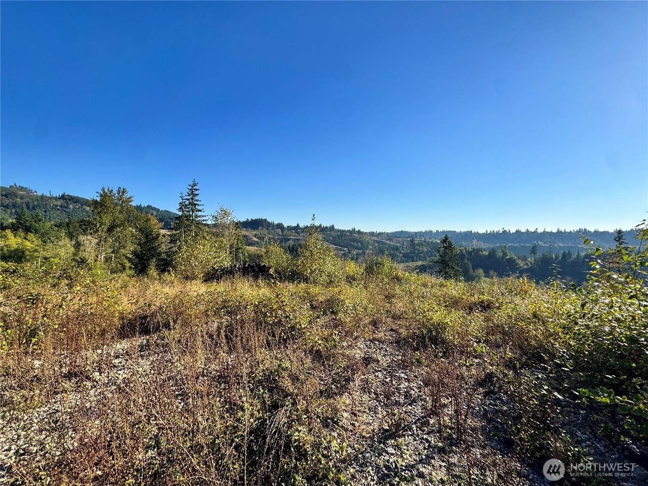 0 Grace Avenue - Photo 1