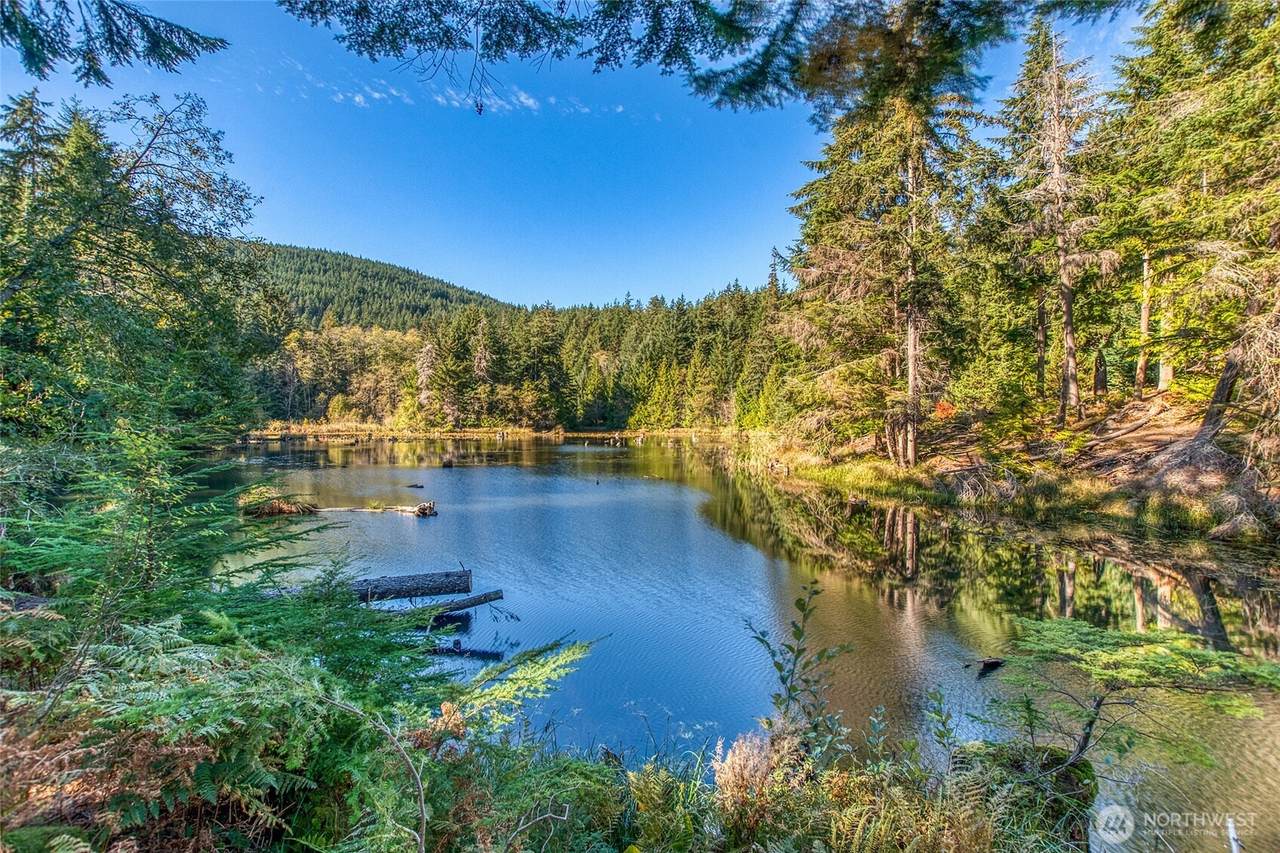 212 Eagle Lake Lane - Photo 1