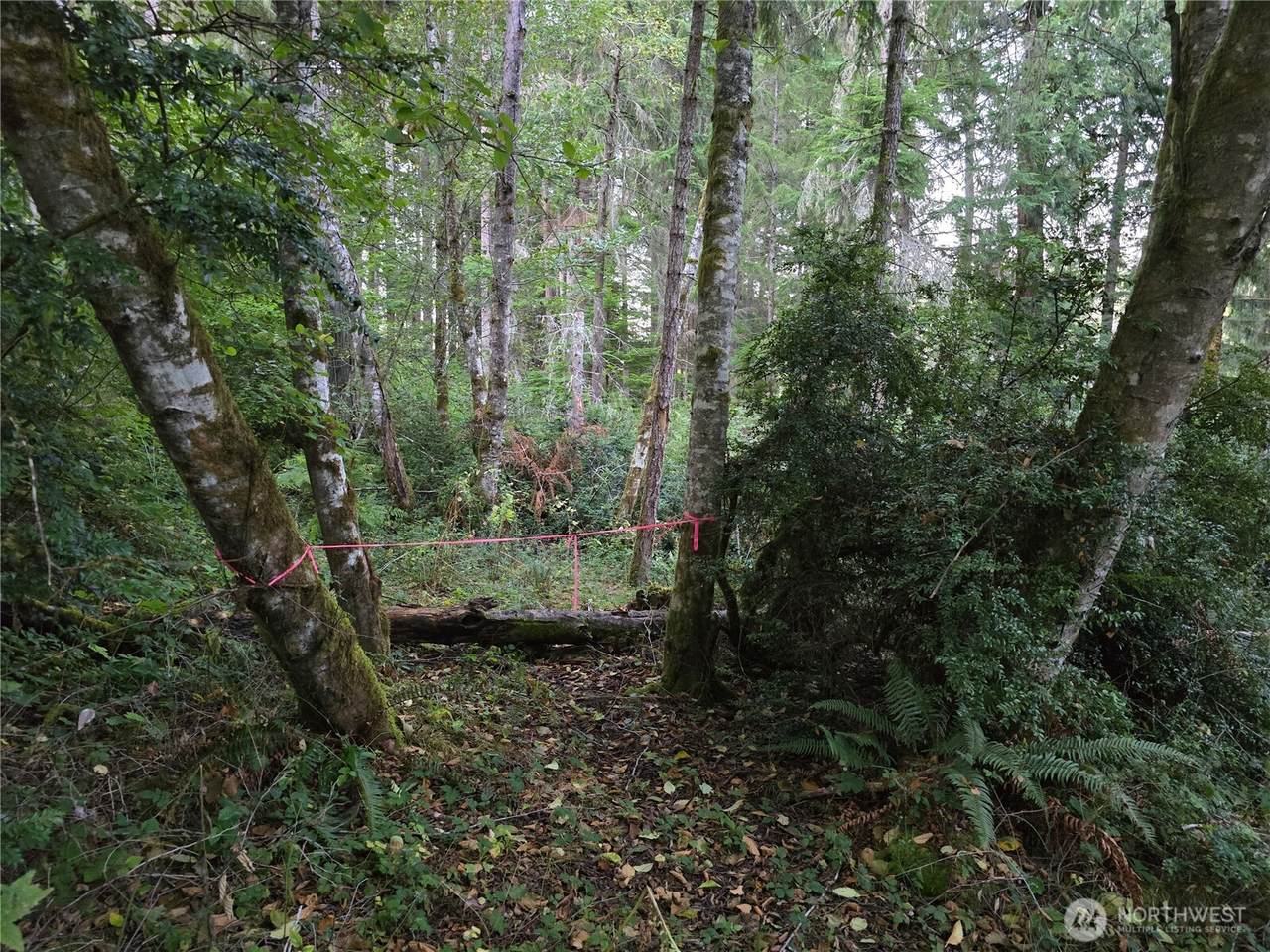 12727 96th Court - Photo 1