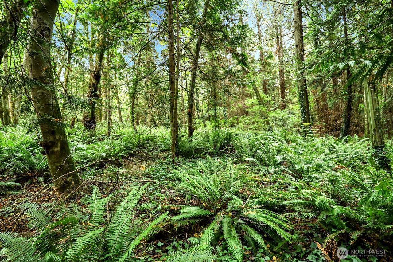 0 Midway Avenue - Photo 1