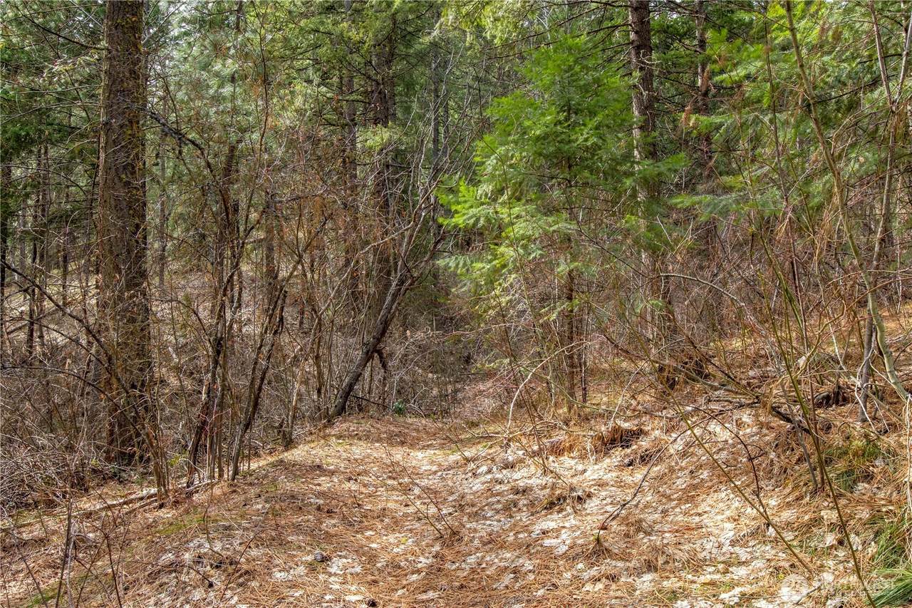 1 Chumstick Highway - Photo 1