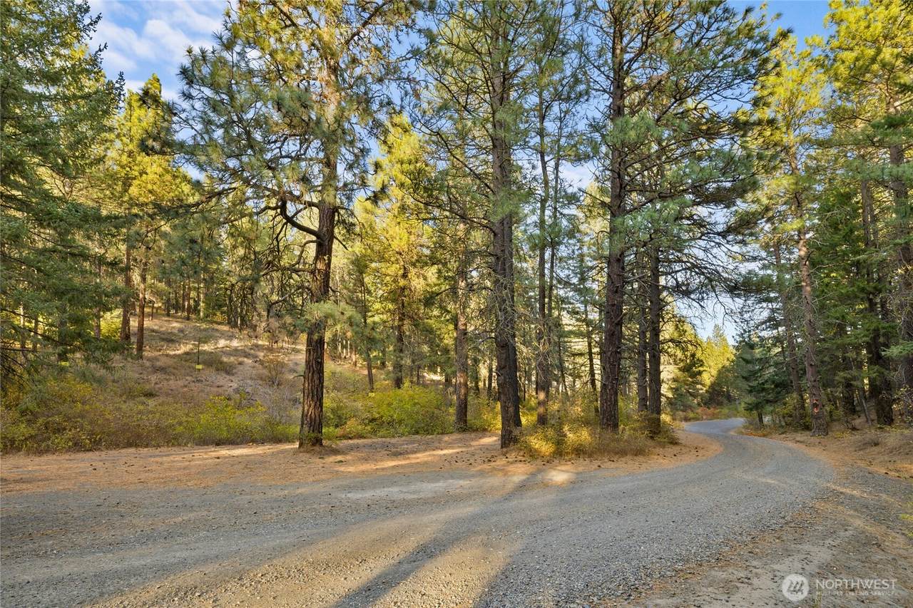 15 XX Elk Heights Road - Photo 1