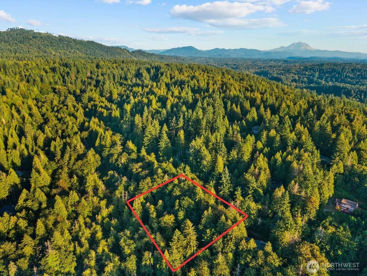 245 xx 146th Street - Photo 1