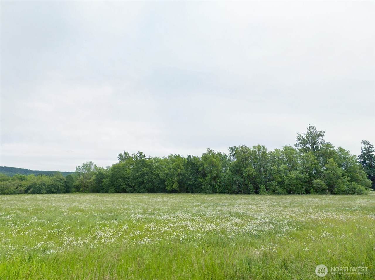 754 Cousins Road - Photo 1