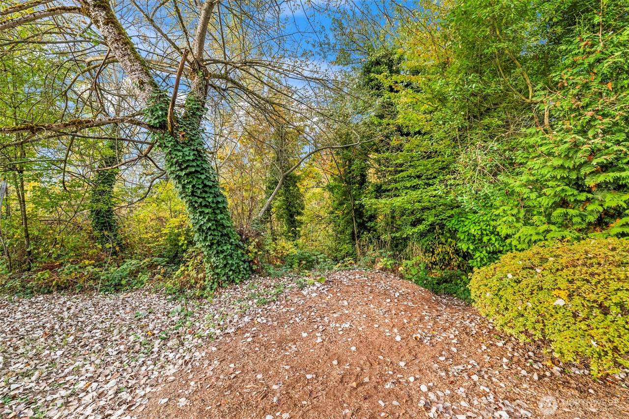 0 Fir Street And Emerald Street Street - Photo 1