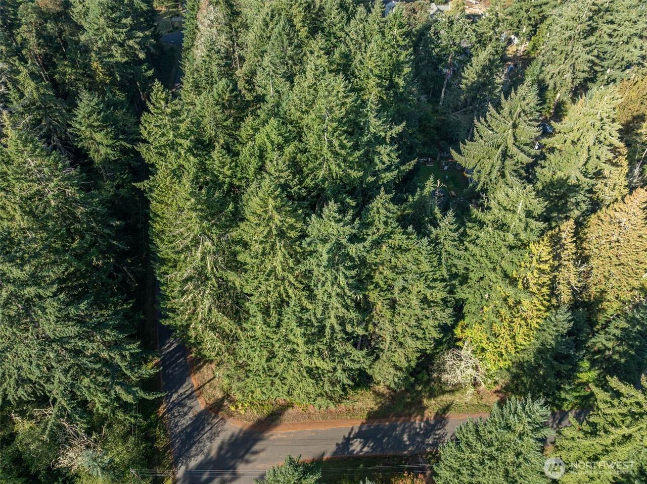 10102 104th Avenue - Photo 1