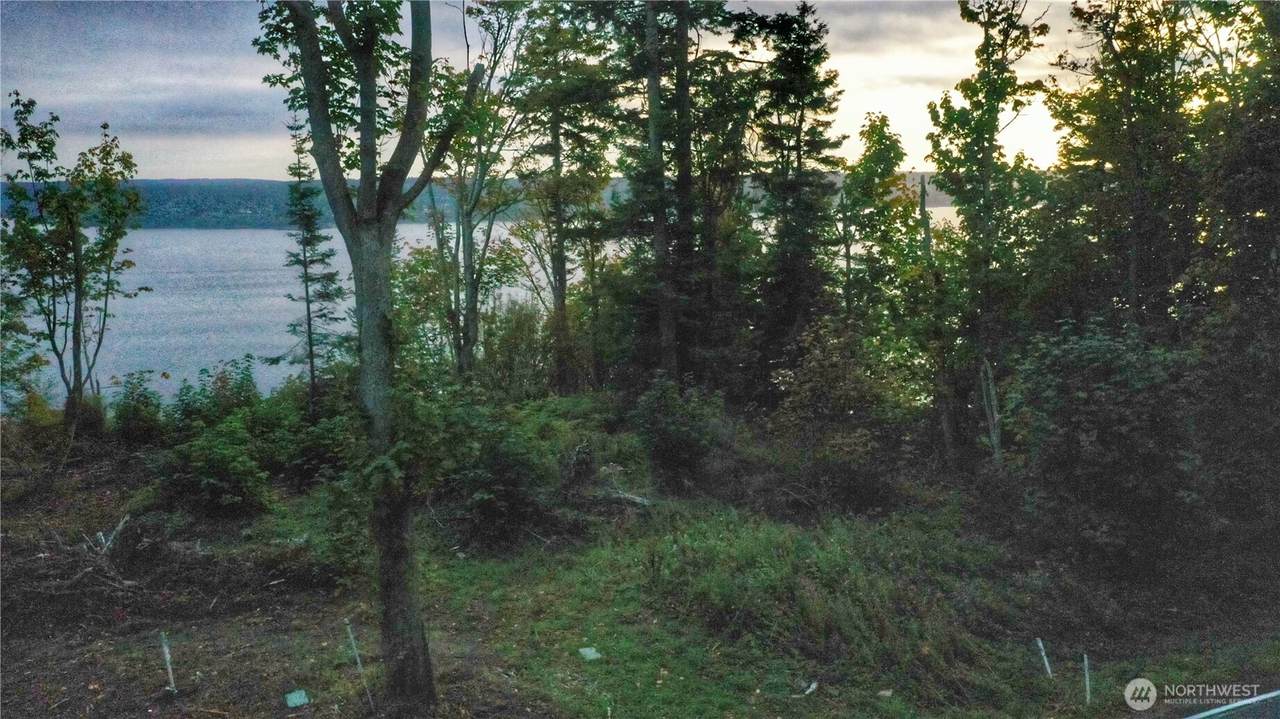 0 Lot 12 Camano Drive - Photo 1