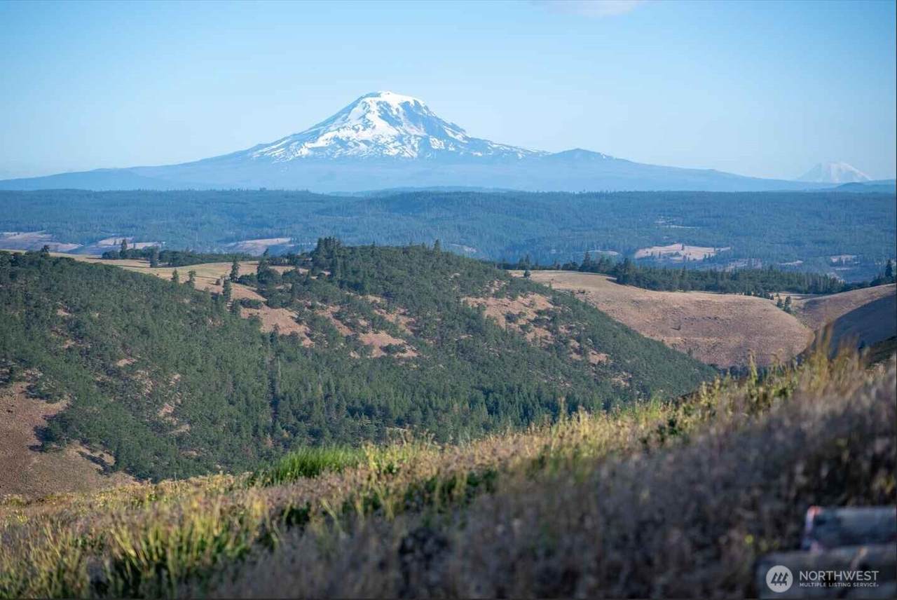 0 Fin Ridge Road - Photo 1