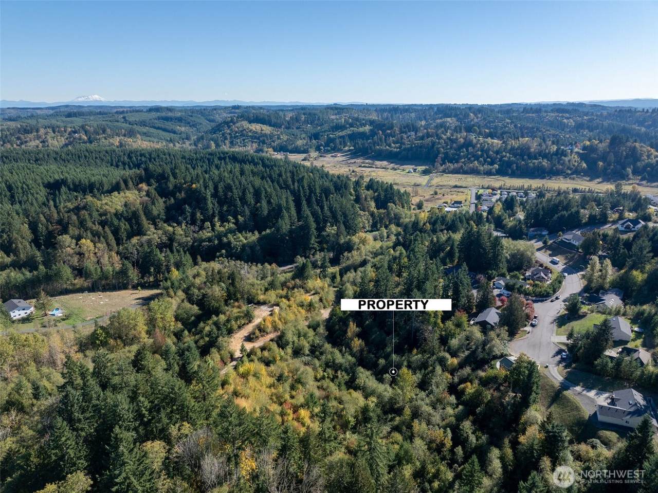 1700 Maple Valley Drive - Photo 1