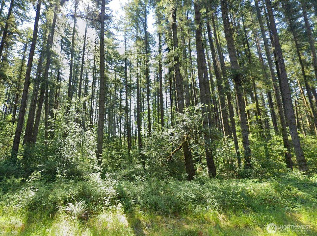 0 Summers Road - Photo 1