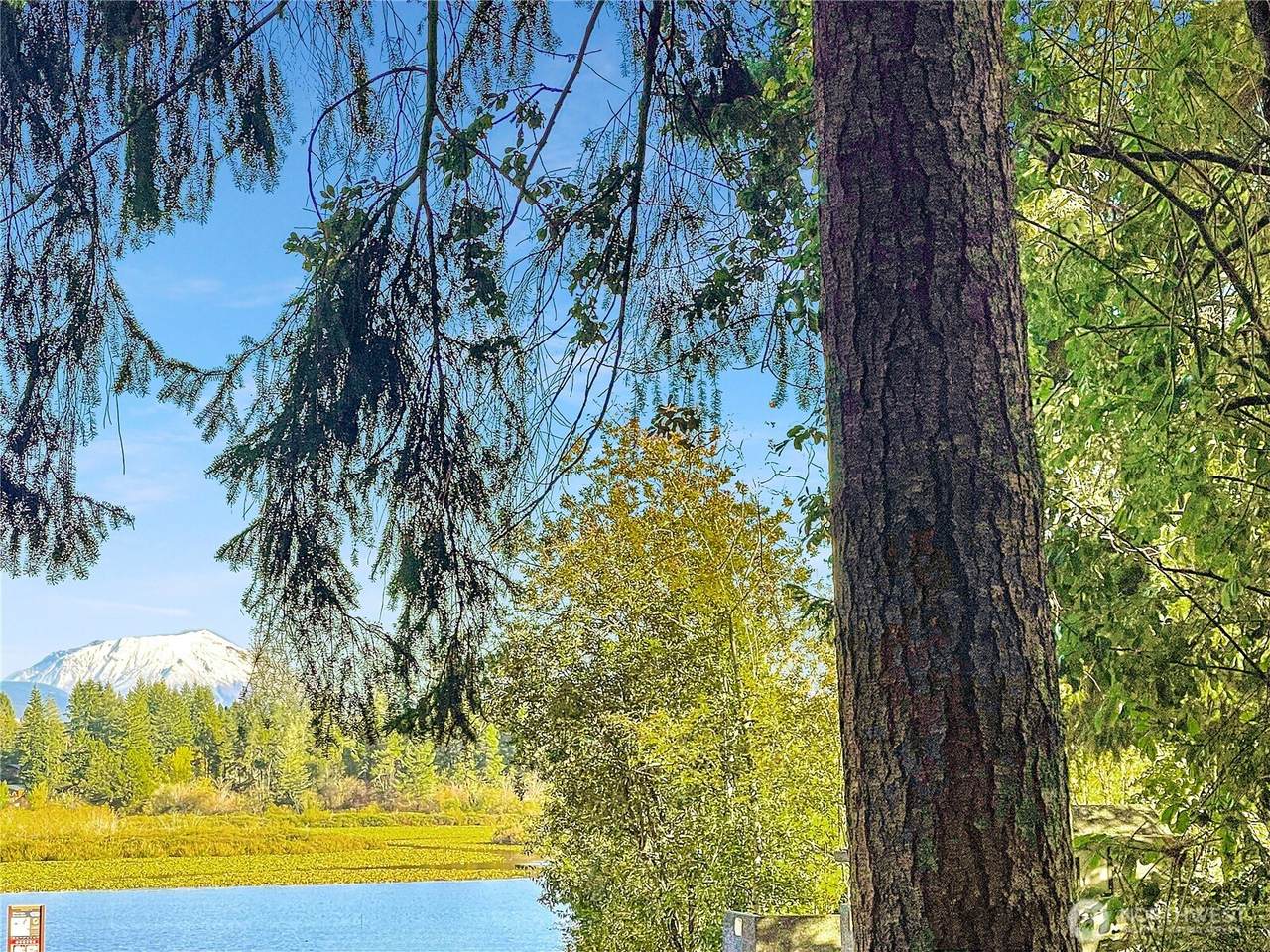 300 Kerr Road - Photo 1