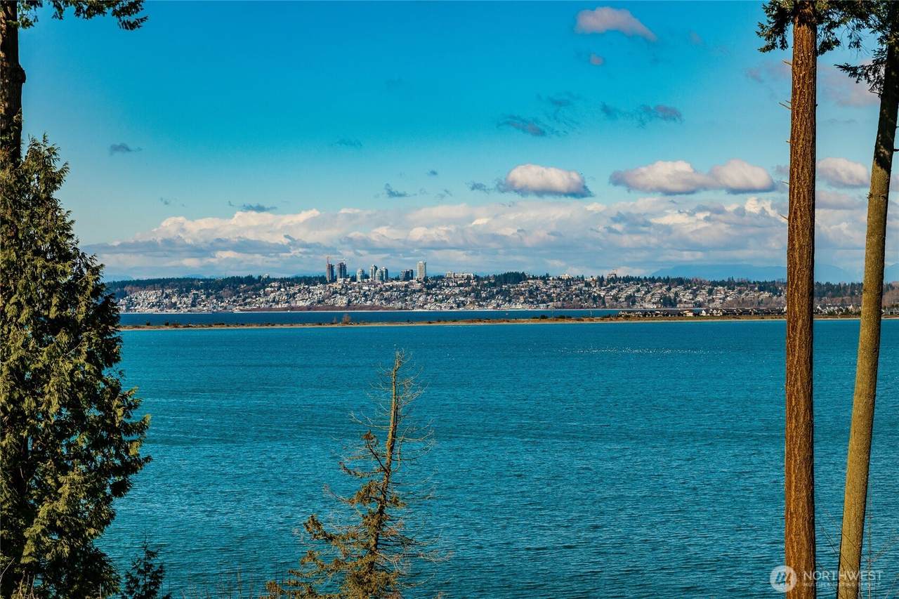 0 Night Heron Drive - Photo 1