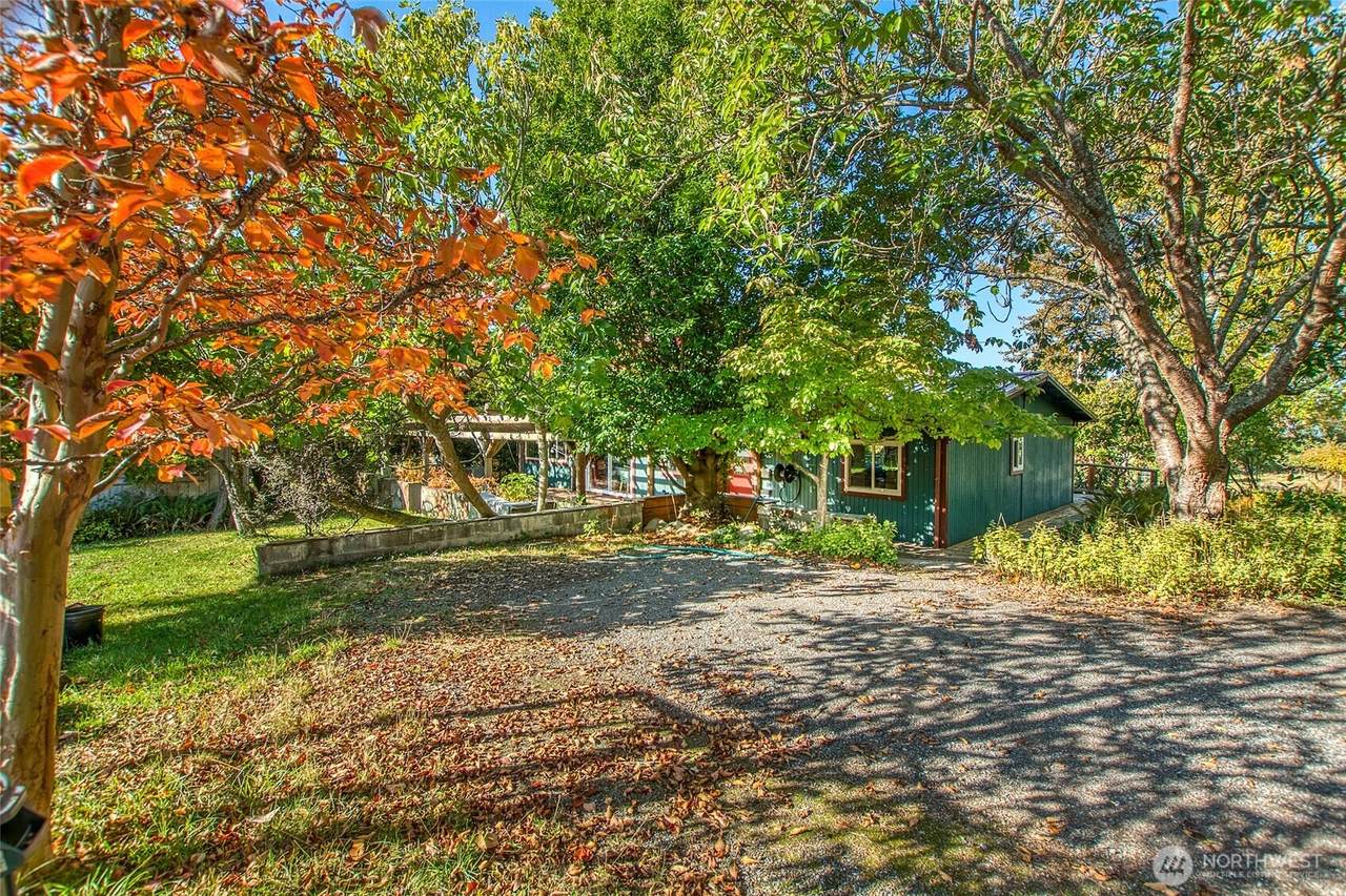 162 Alder Street - Photo 1