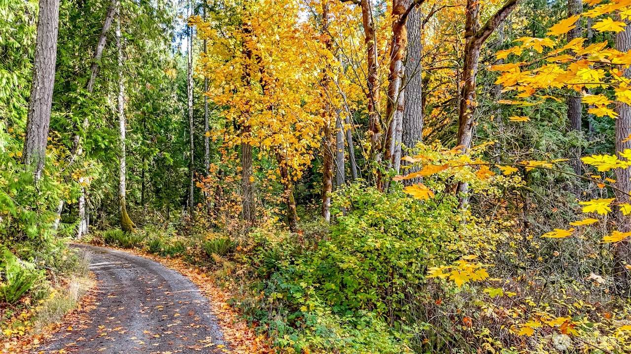 18313 Patterson Road - Photo 1