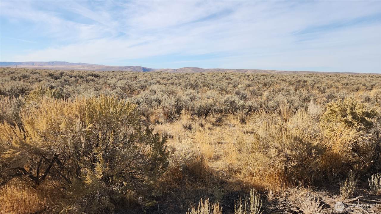 0 Lot 21 E Coyote Trail - Photo 1