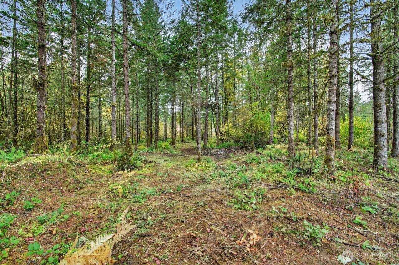 131 Kuty Drive - Photo 1