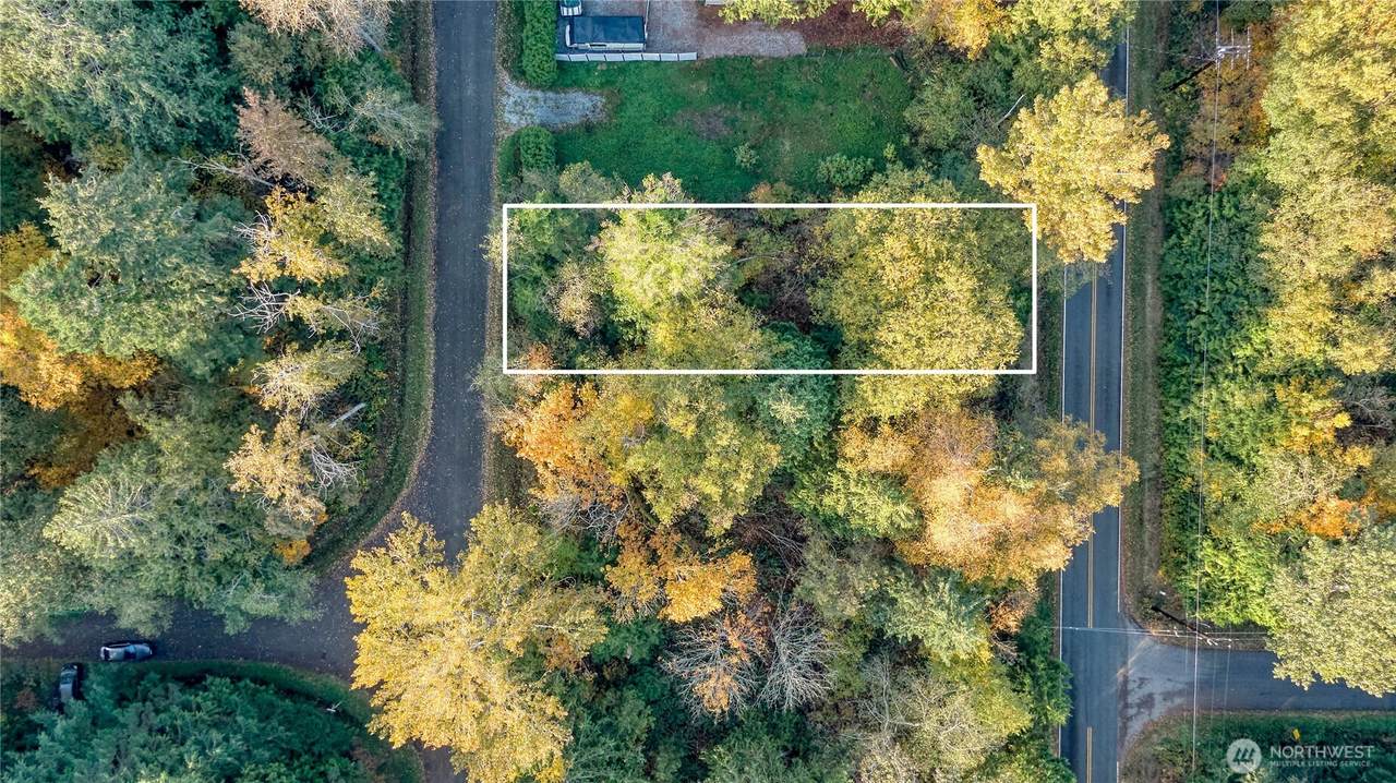 6 Weasel Run - Photo 1