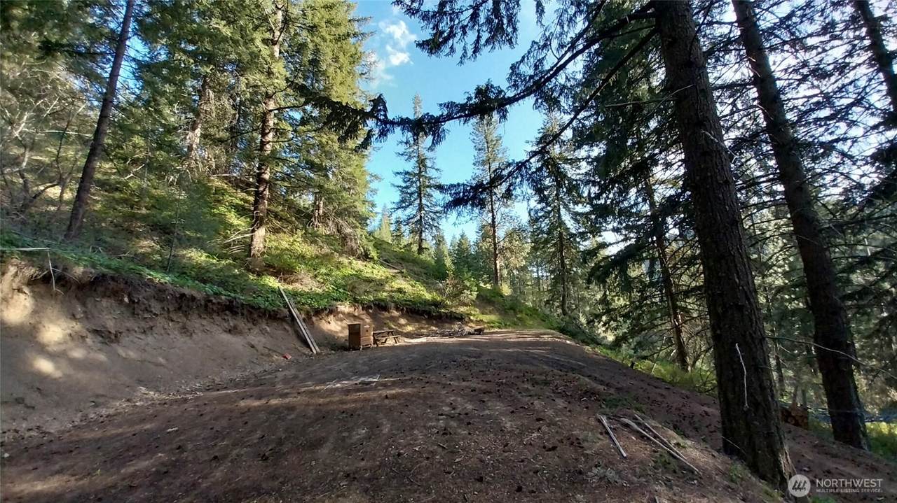 16991 16965 Chumstick Highway - Photo 1