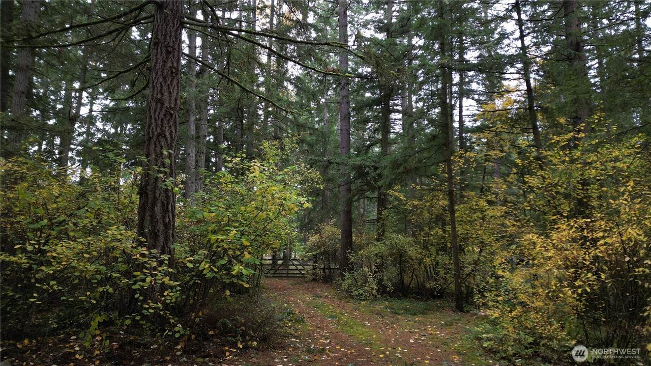 36201 62nd Avenue - Photo 1