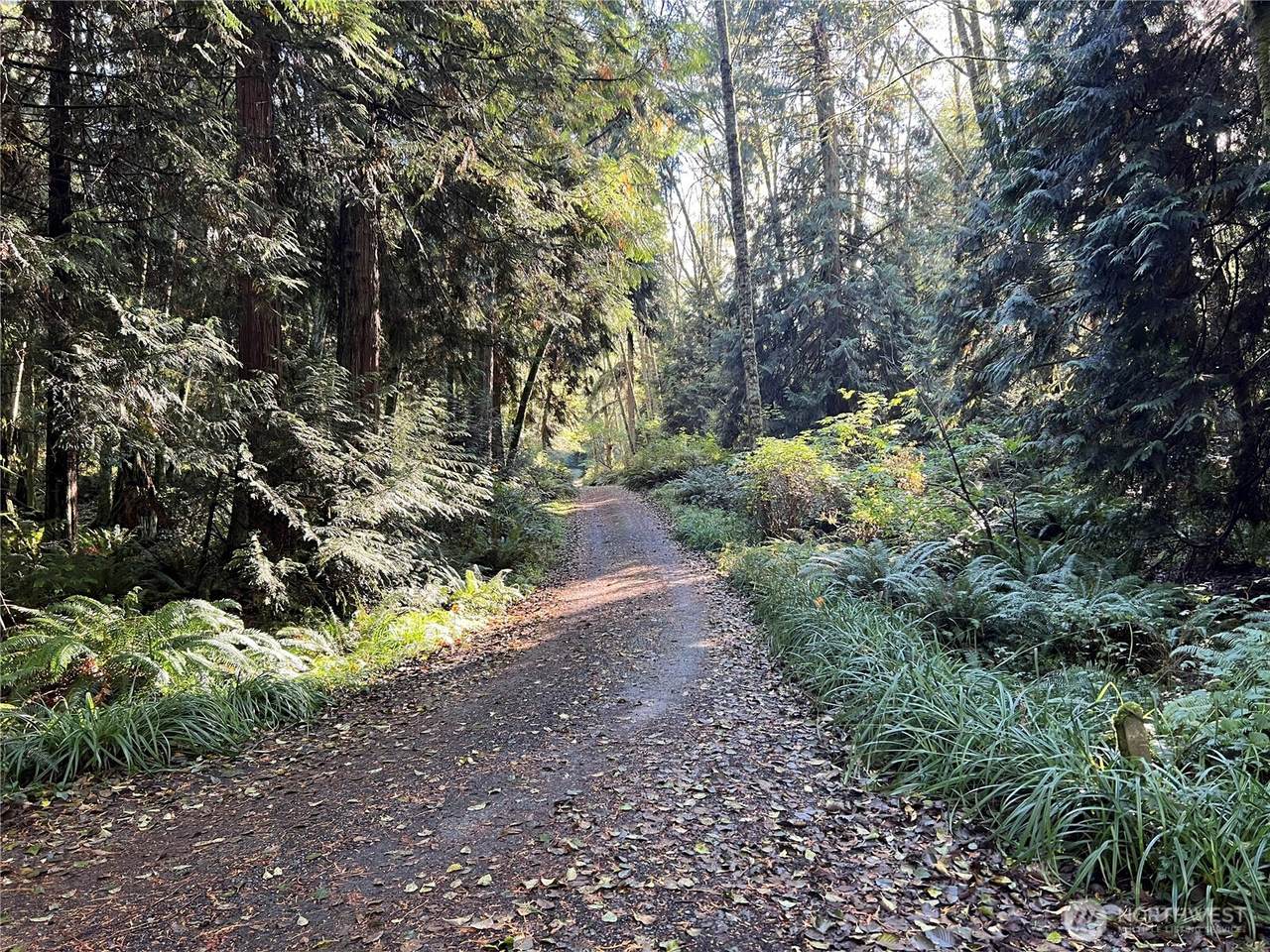 5249 Fallen Leaf Ln - Photo 1