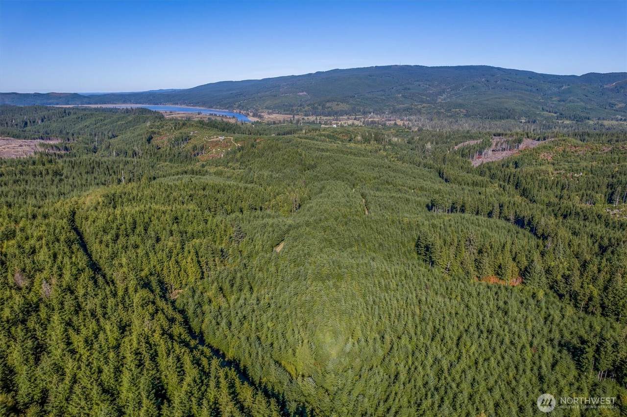 6 Parpala Road - Photo 1