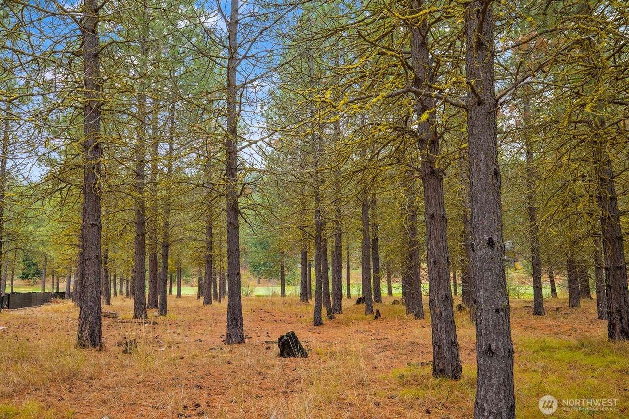 36 Southern Star Lane - Photo 1