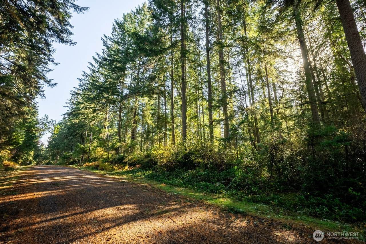 11324 Laurel Place - Photo 1