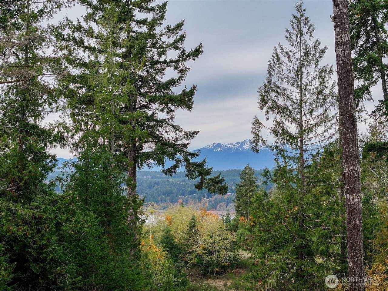 541 Squire Lane - Photo 1