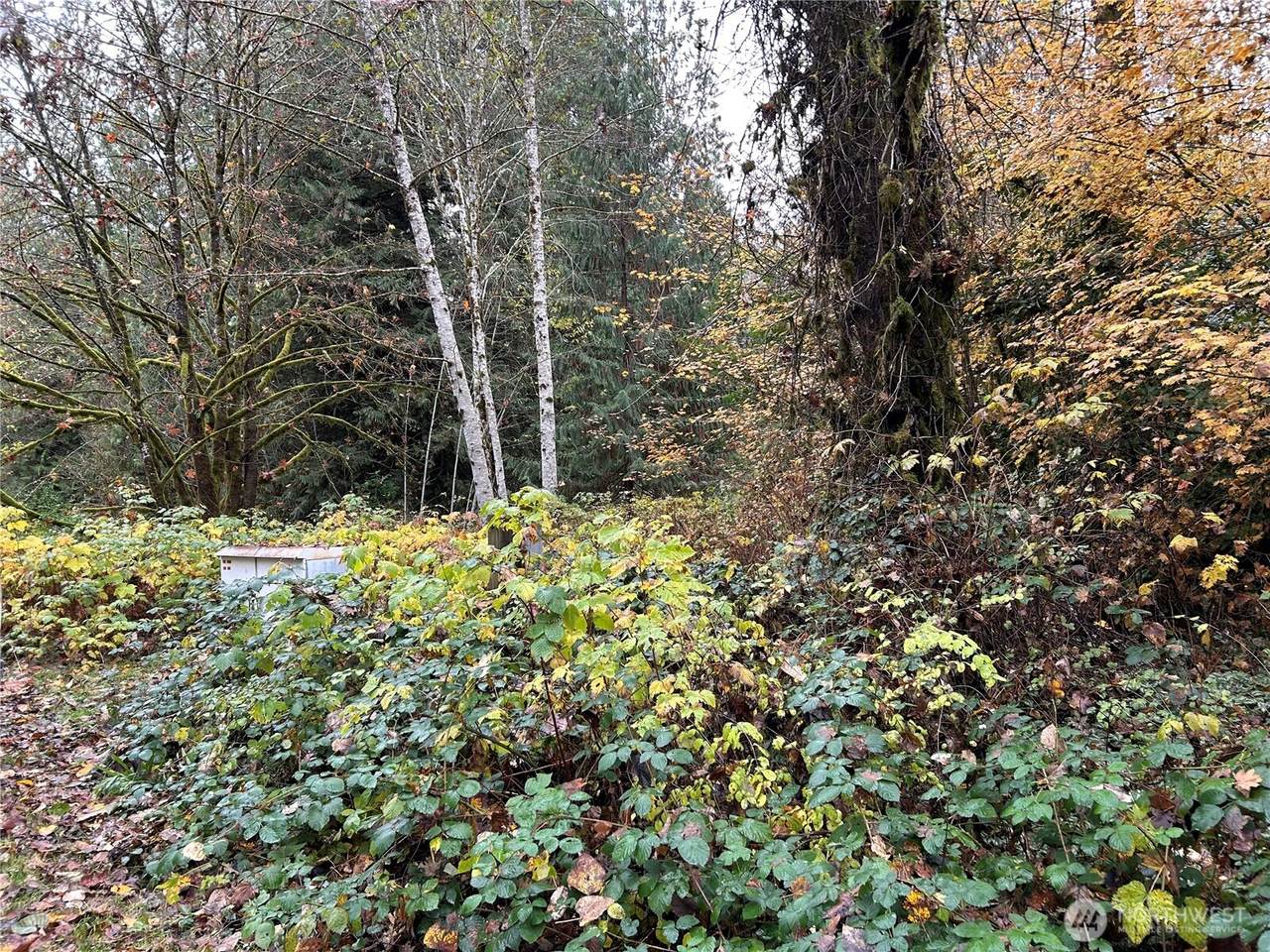 54165 Steelhead Landing Road - Photo 1