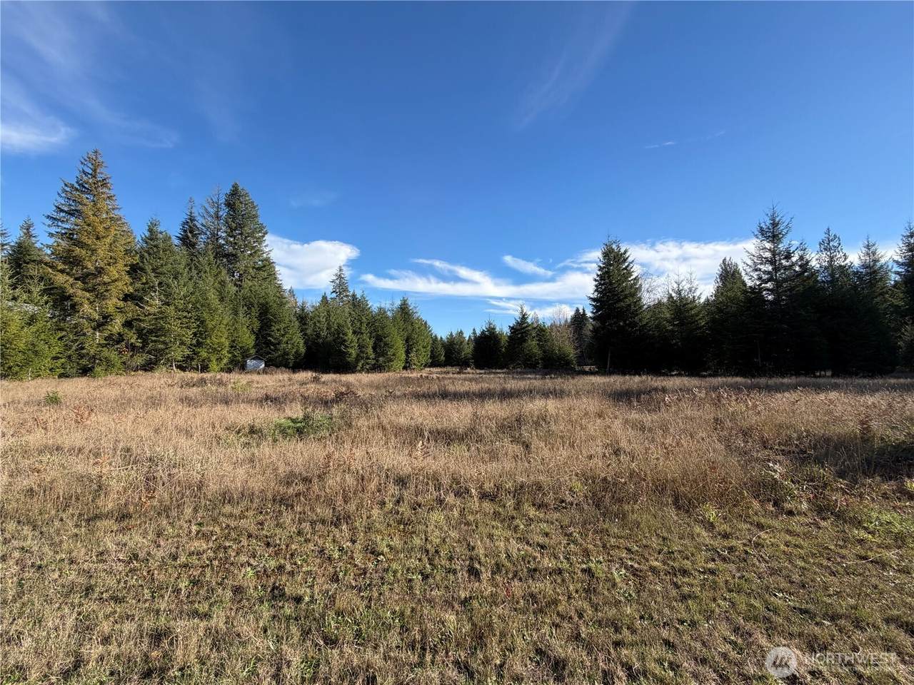 138 Shelton Road - Photo 1