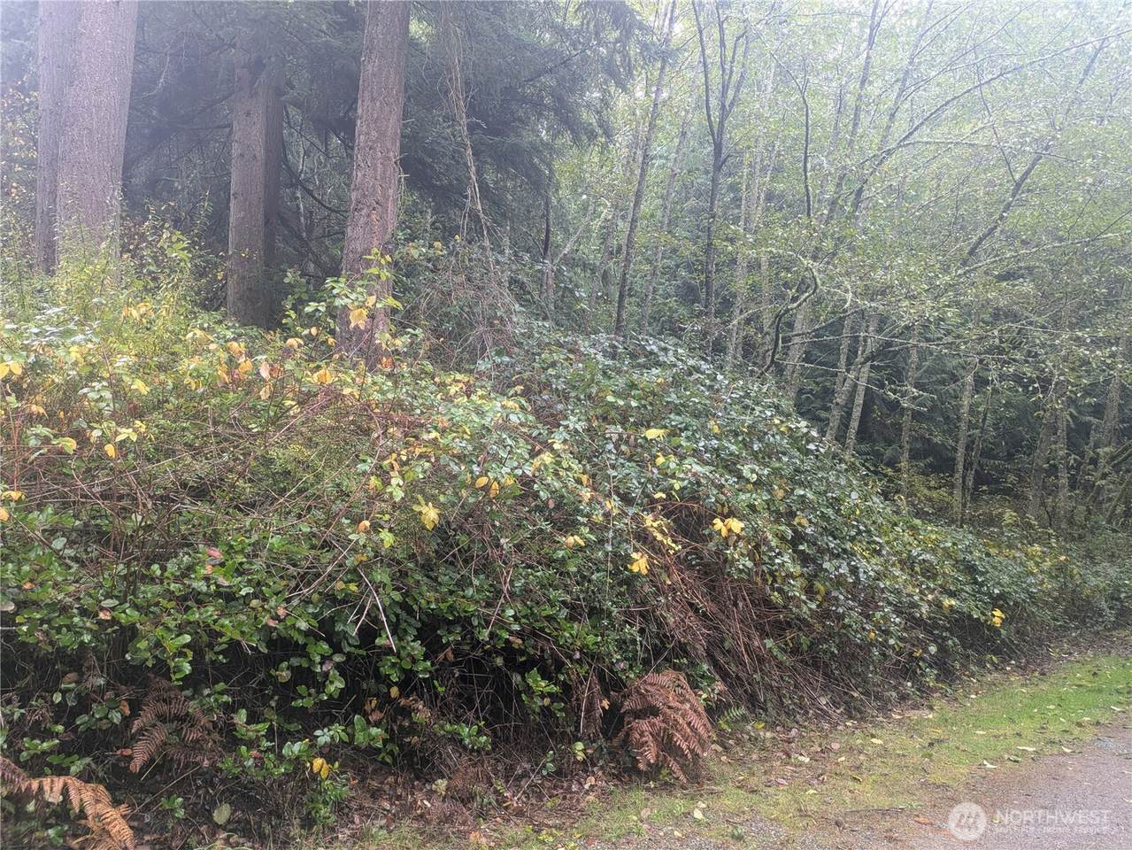 https://bt-photos.global.ssl.fastly.net/nwmls/1280_boomver_1_2456946-1.jpg