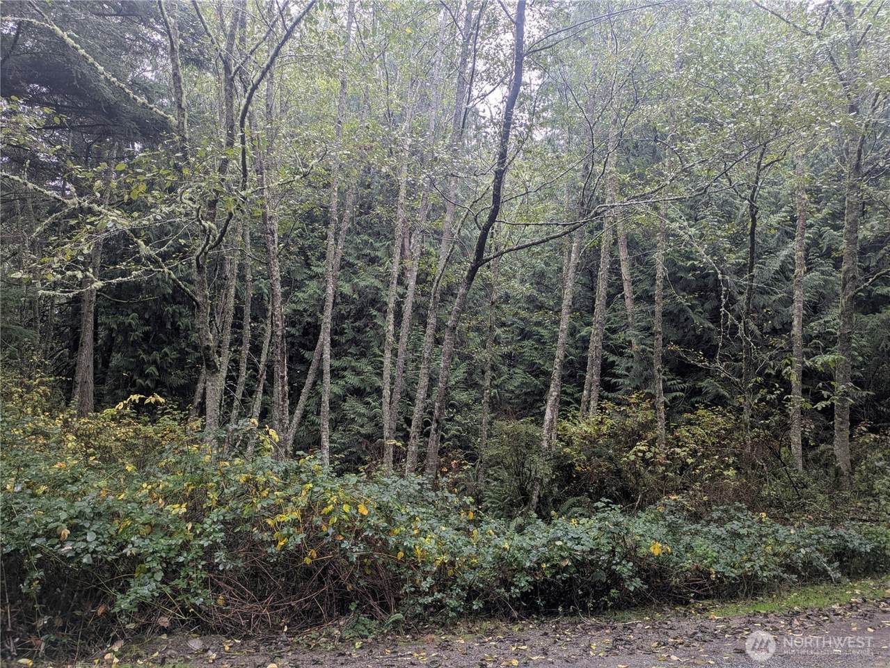 https://bt-photos.global.ssl.fastly.net/nwmls/1280_boomver_1_2456946-1.jpg