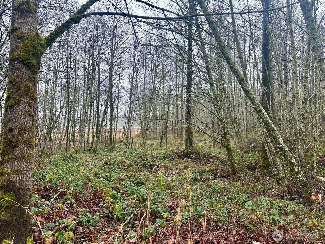 1230 Silverbrook Road - Photo 1