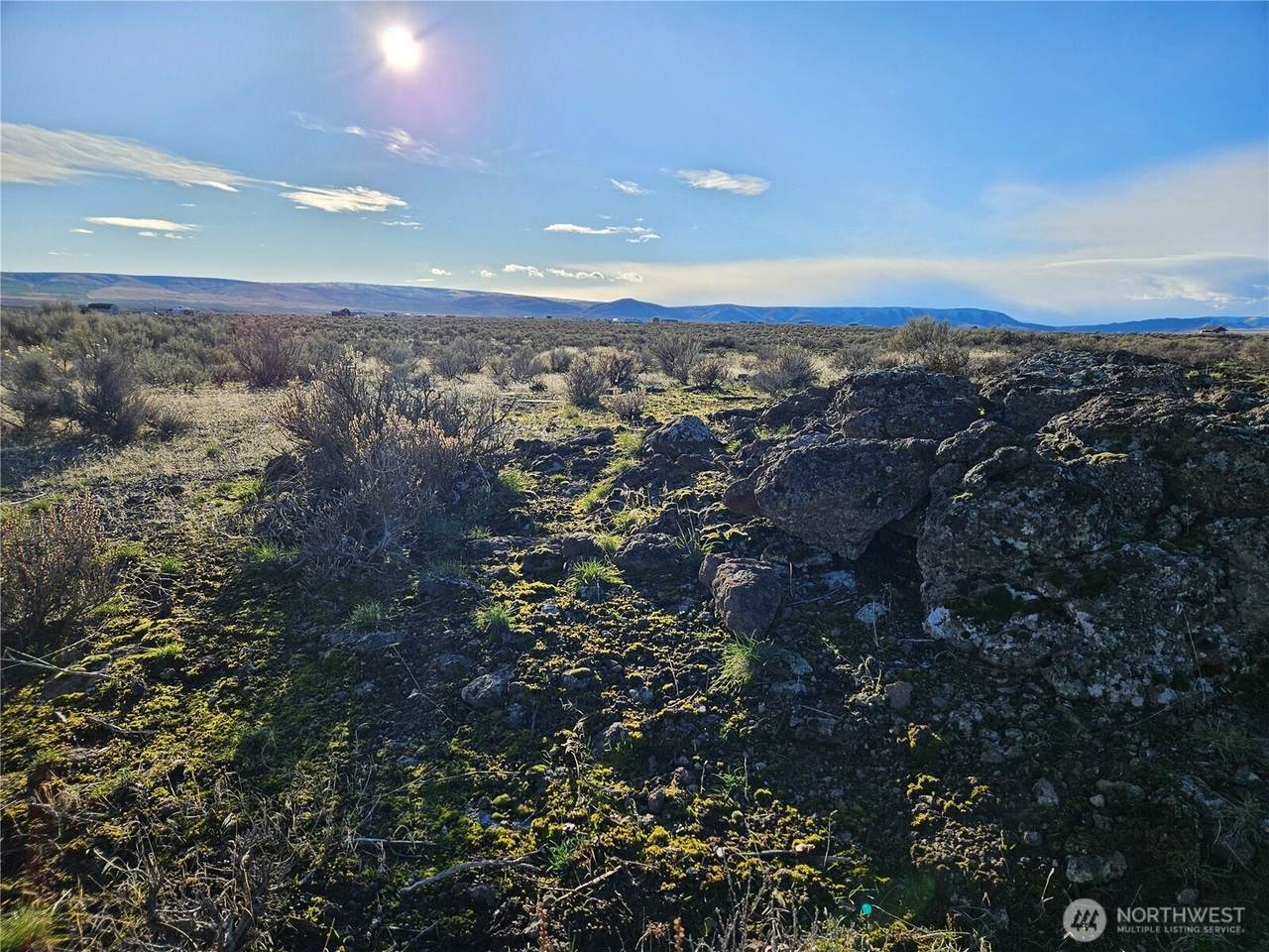 2021 Arroyo Drive - Photo 1