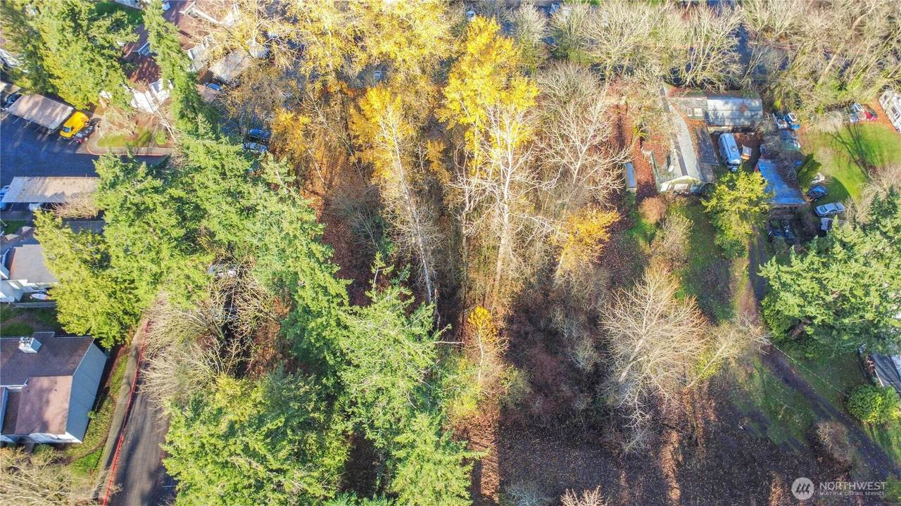 2810 Redwood Street - Photo 1