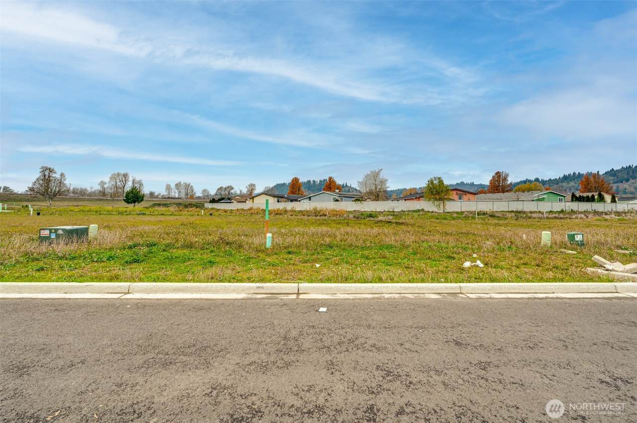 2011 Henderson Way - Photo 1