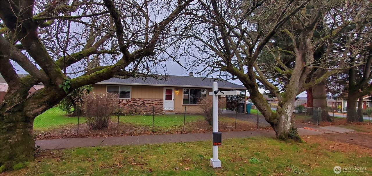 101 Ash Street - Photo 1