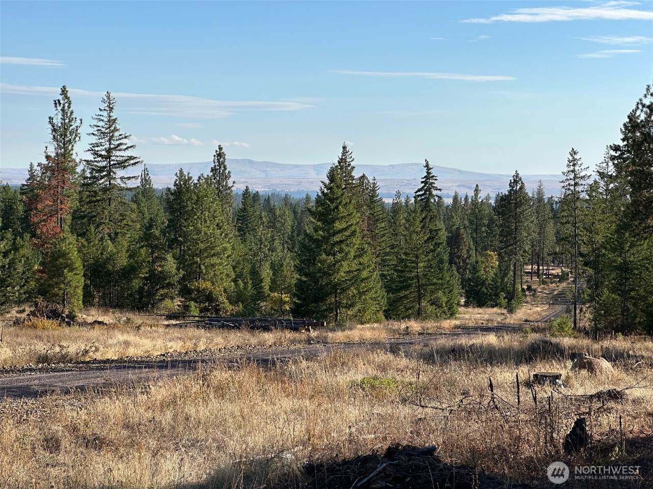 0 000 Piper Lane - Photo 1