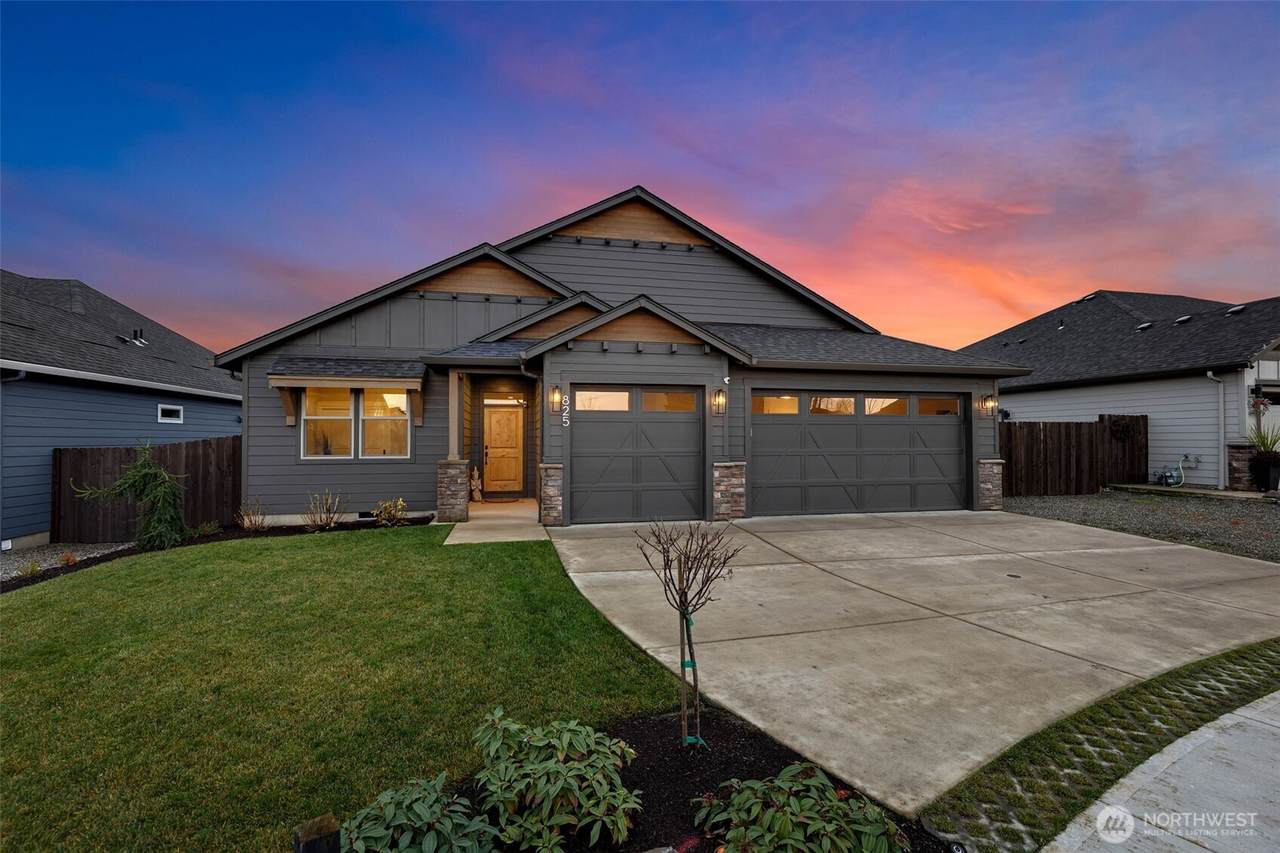 825 Goose Loop - Photo 1