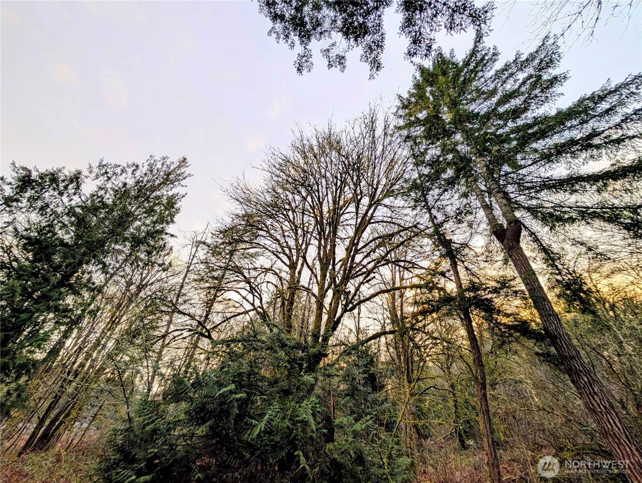0 Whiteman Road - Photo 1