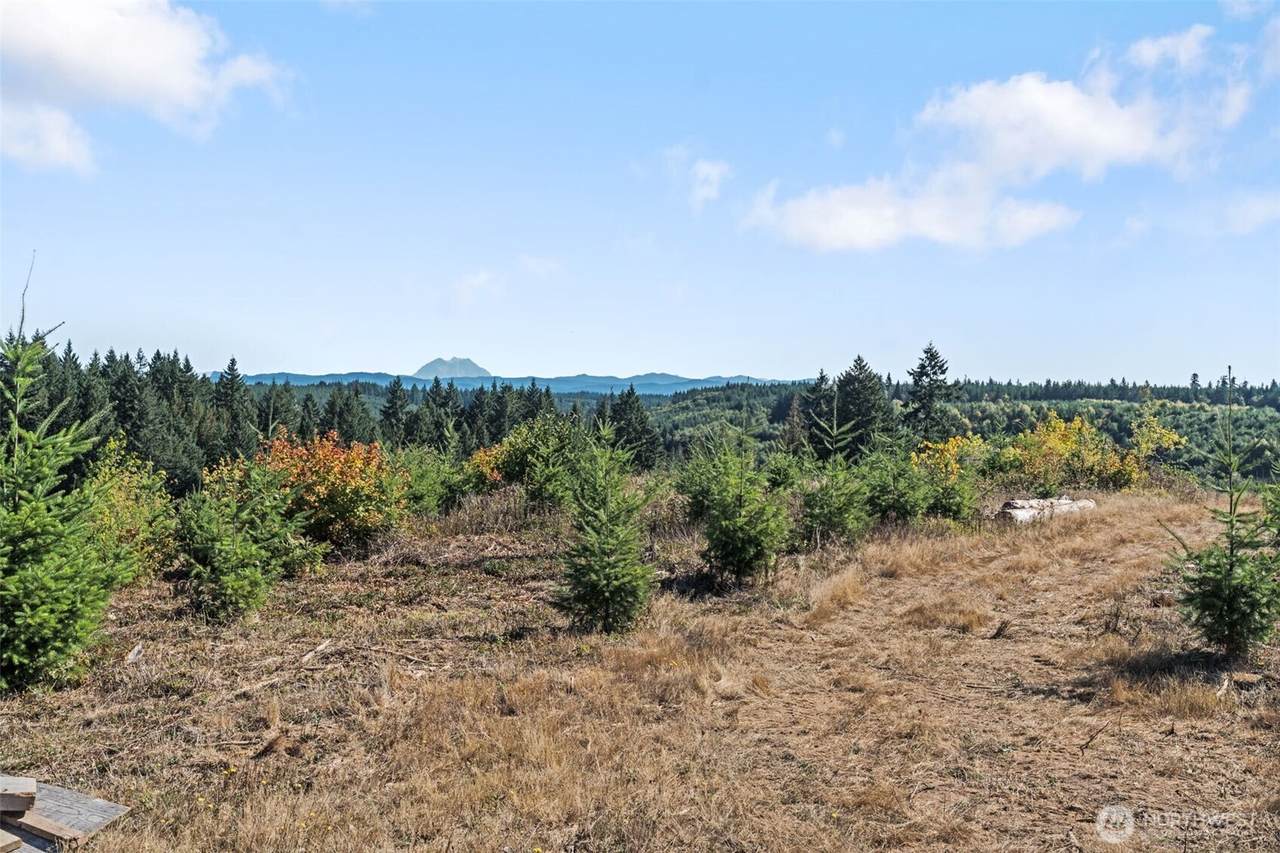 0 Lot 2 Macomber Road - Photo 1