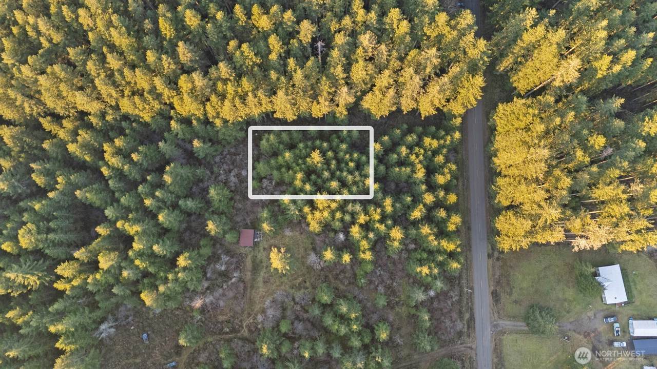 0 Lost Lake Road - Photo 1