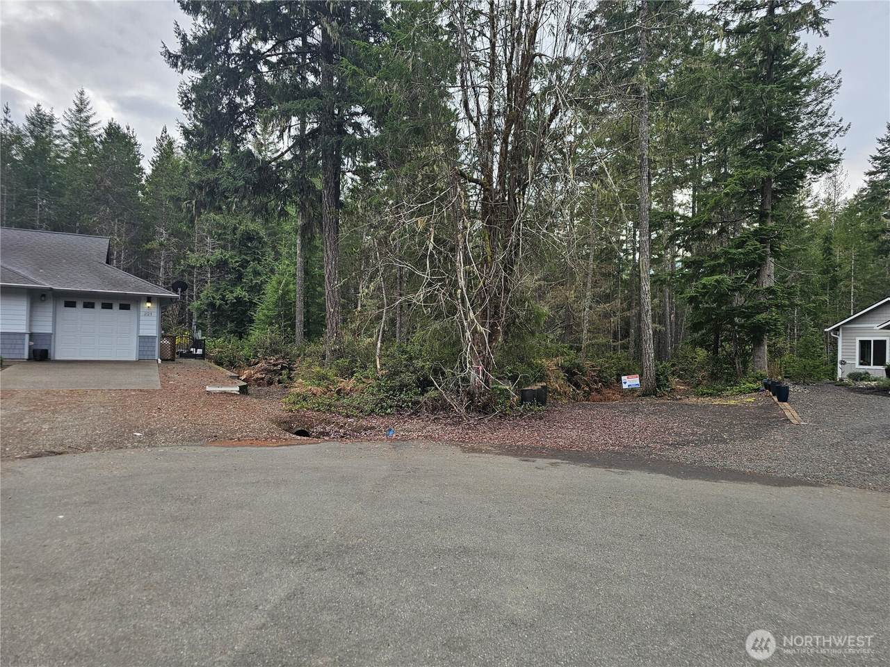 231 Blackberry Lane - Photo 1